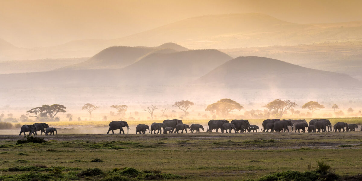 Tanzania Original-min