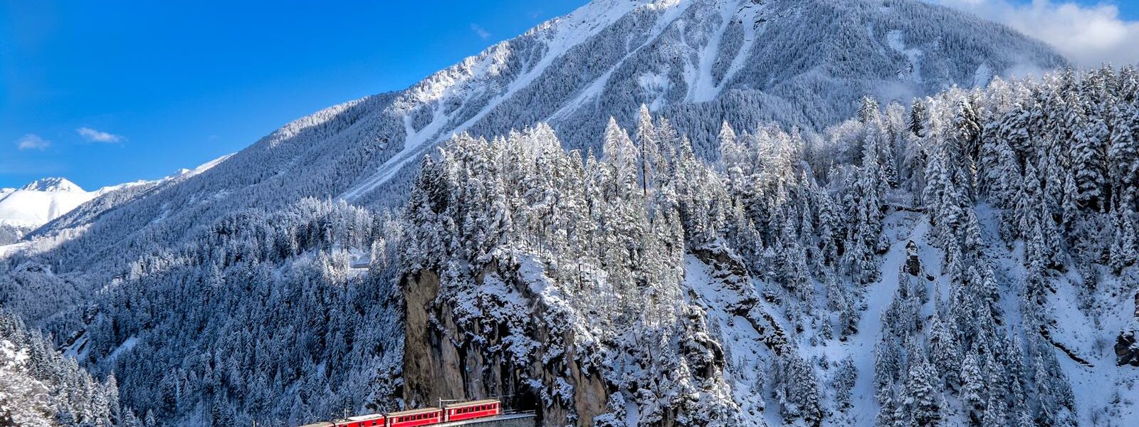 Suiza Blog OR