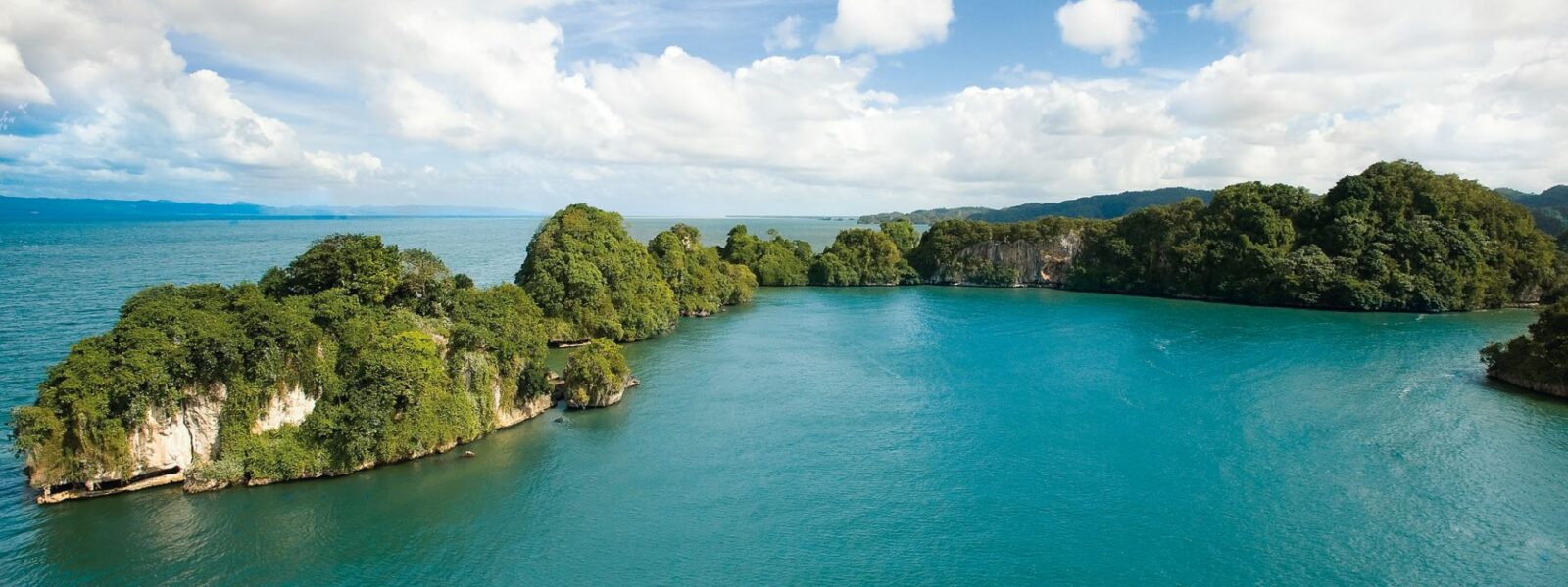 los-haitises-saman